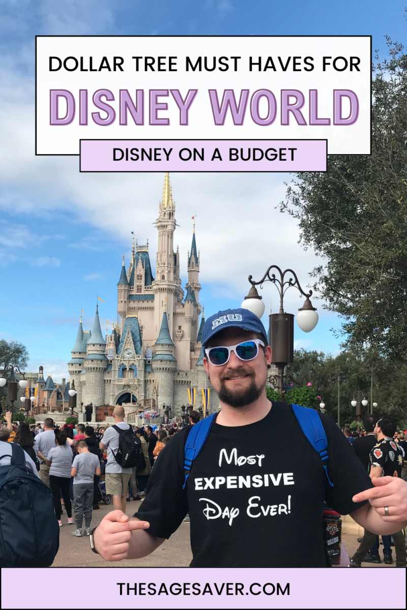 dollar tree must haves for disney
