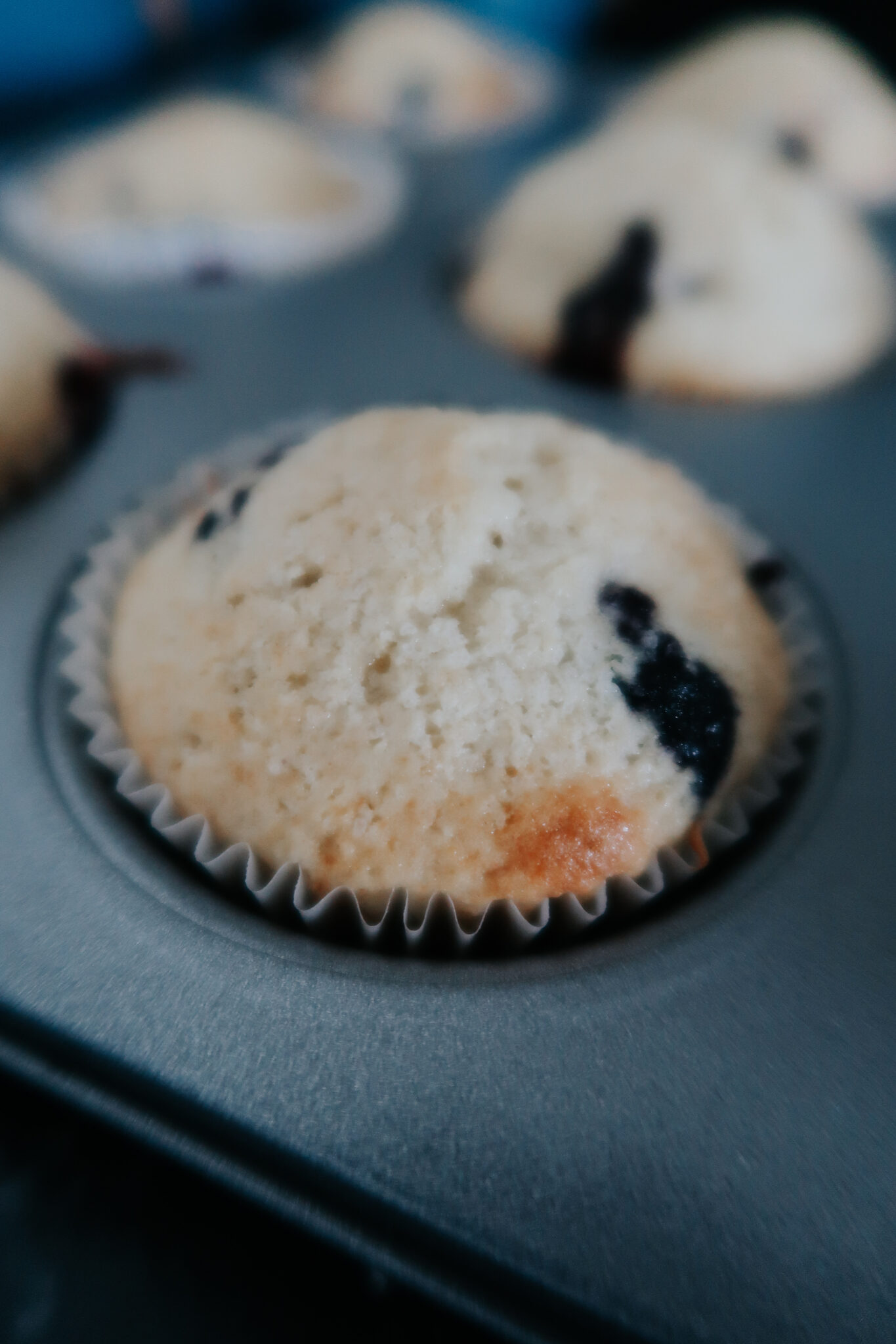 easy blueberry muffins