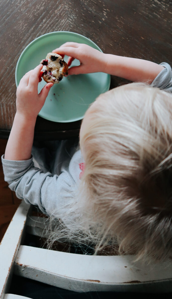 blueberry muffins homemade snack ideas